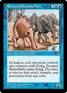 逃亡した多相の戦士