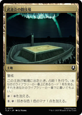 武道会の闘技場