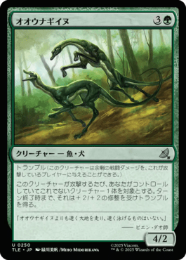 オオウナギイヌ