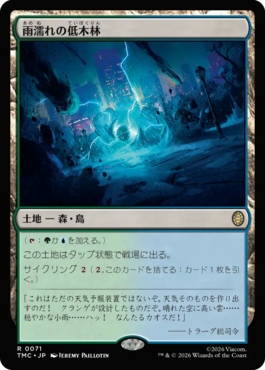 雨濡れの低木林