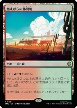 燃えがらの林間地