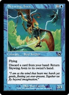 空翼のエイヴン