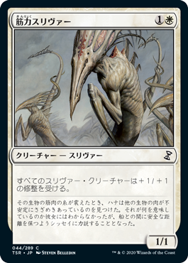 筋力スリヴァー