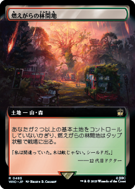 燃えがらの林間地