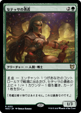 セテッサの勇者