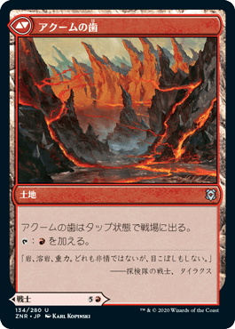 アクームの戦士