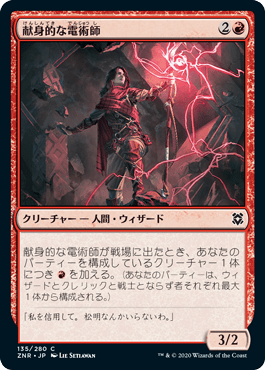 献身的な電術師