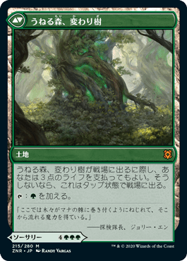 変わり樹の共生