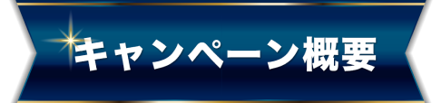 キャンペーン概要