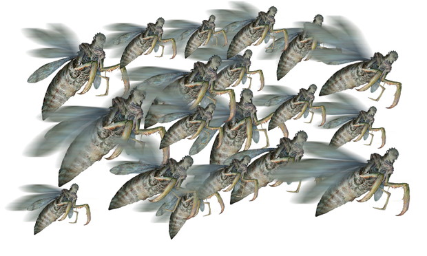 LD20160205_Insect-Swarm.jpg