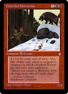 Grizzled_Wolverine